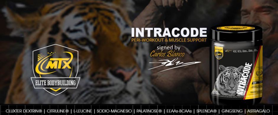 243-banner-intracode